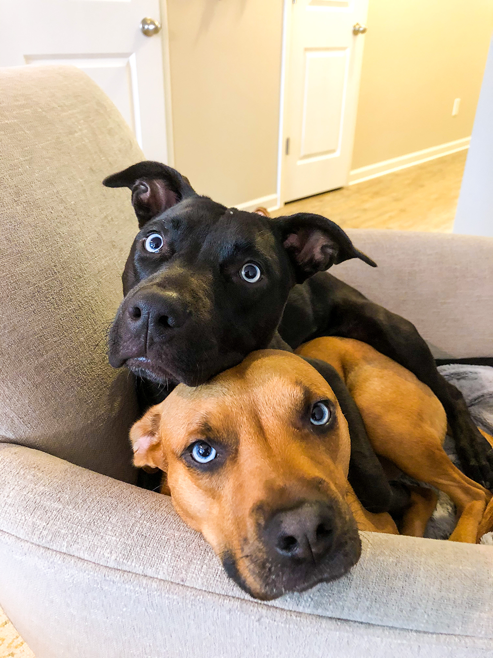 Minnie and Ginny Minnie and Ginny